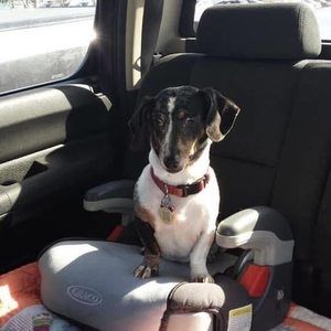 Meet your Posher, Crystal